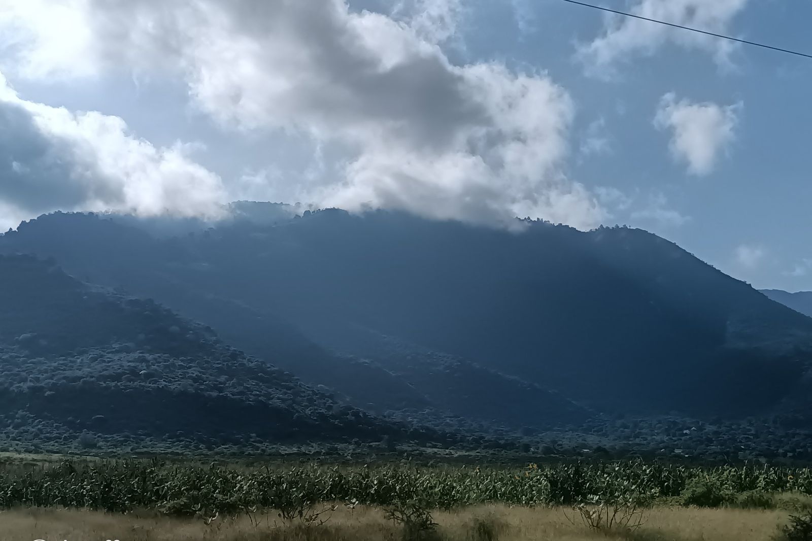 The Pare range rising steeply above maize fields near the school